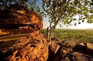 Related Images Photo Mug Collection: View of Kununurra from Kellys Knob