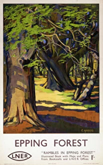 Street art graffiti Canvas Print Collection: Epping Forest, LNER poster, 1923-1947