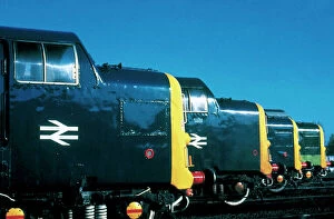 Railways Collection: A row of Class 55 Deltic diesel locomotives built by English Electric in 1961-1962