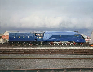 Trains Collection: On Sunday 3rd July 1938, Mallard raced past Little Bytham at 123 mph (198 kmh), then