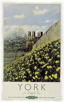 Railway Poster Collection: York in Daffodil Time, BR poster, 1950