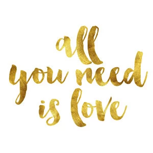 Plains Mouse Metal Print Collection: All you need is love gold foil message
