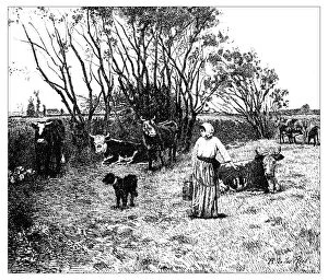 Farmer Collection: Antique illustration of landscape with animals and farmer