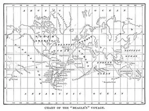 Related Images Metal Print Collection: Chart of the Beagles voyage. Charles Darwin travel map