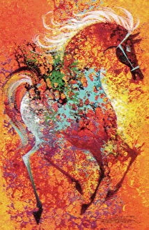Art Prints Photo Mug Collection: Colorful Horse