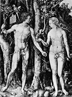 Albrecht Durer Framed Print Collection: Engraving Of Adam And Eve