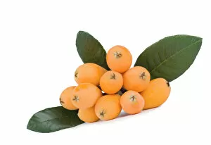 Fruit Collection: Fresh loquat (Eriobotrya) fruits and green leaves
