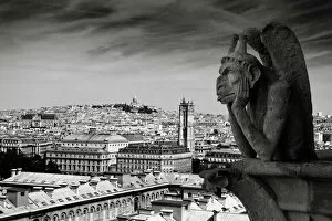 Skyline Collection: Gargoyle of the Notre Dame Cathedral, Paris, France