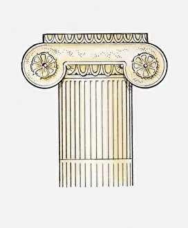 Ancient Civilisations Collection: Illustration of Ionic column