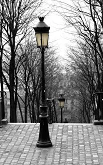 Bare Tree Collection: Lamposts and Stairs at Montmartre