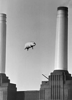 Black and White Canvas Print Collection: Pink Floyds Inflatable Pig Battersea Power Station