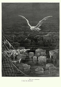 Poets Jigsaw Puzzle Collection: Rime of the Ancient Mariner - I shot Albatross