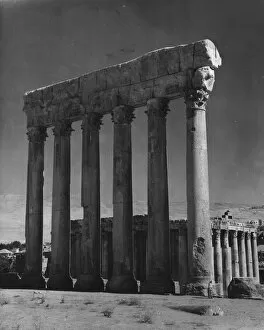 Fine art Collection: Ruins At Baalbek