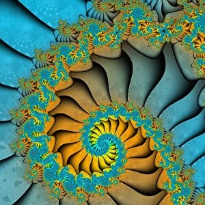 Spiral Collection: A spiral fractal