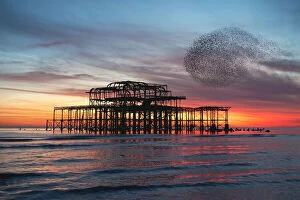 England Pillow Collection: Starling Murmuration at Brightons West Pier in England