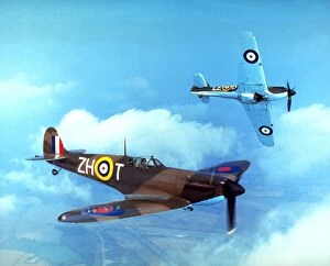 Battle of Britain Metal Print Collection: Supermarine Spitfire