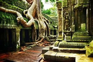 International Architecture Framed Print Collection: Ta Prohm Angkor Wat Cambodia