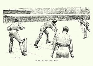 Competition Collection: Victorian Cricket Match, 19th Century