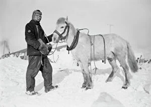 Antarctic Expedition Metal Print Collection: Edgar Evans and pony Snatcher. October 1911