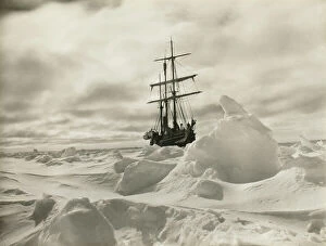 Trans-Antarctic Expedition Framed Print Collection: Endurance waiting for the pack ice to open up