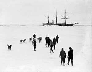 Antarctic Expedition Photo Mug Collection: Men and dogs on the ice, Endurance in the background