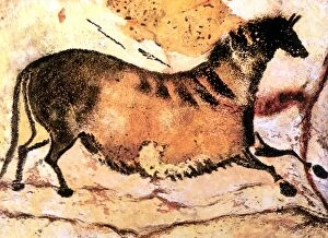 James Charles Pillow Collection: Cave Art - Lascaux - Prehistoric cave painting of running horse, from the cave system