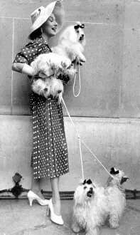 Elegant Collection: Paris dog show becomes fashion show 10th July 1954