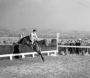 Steeplechase Collection: Pat Taaffe on Irish-trained Arkle takes the last fence ahead of English champion Mill House