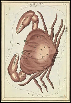 Mythical Animal Collection: Cancer, c.1825 (card, paper, tissue )