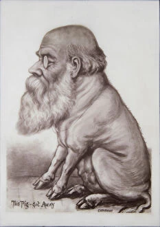Plaques Collection: Charles Darwin Plaque, c. 1870 (ceramic)
