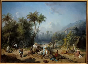 Cocoa Collection: A cocoa plantation in the West Indies Painting by Alexandre Balance (1822-1893