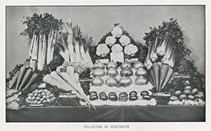 Celery Collection: Collection of vegetables (b / w photo)