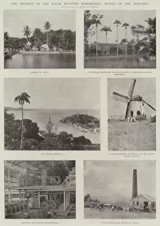 St George's Jigsaw Puzzle Collection: The Decision of the Sugar Bounties Conference, Scenes of the Industry (b / w photo)