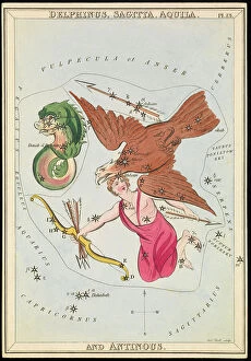 Constellation Collection: Delphinus, Sagitta, Aquila and Antinous, c.1825 (card, paper, tissue)