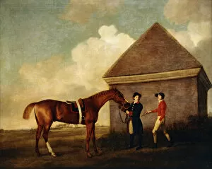 Suffolk Collection: Eclipse, a Dark Chestnut Racehorse held by a Groom, with a Jockey