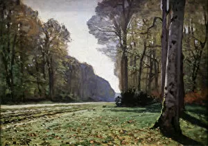 Forest and woodland scenes Greetings Card Collection: Le pave de Chailly 1865 (Oil on Canvas)