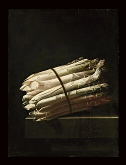 Still life paintings Pillow Collection: Still Life of Asparagus, 1699 (oil on paper laid on panel)