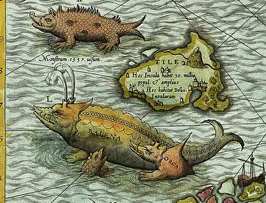 Latvia Photo Mug Collection: Detail of A Map of the Sea (Carta marina) by Olaus Magnus (1490-1557), 1572 (engraving)