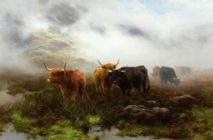 Highland Cow Photographic Print Collection: Moorland and Mist, 1893 (oil on canvas)