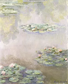 Nature-inspired art Fine Art Print Collection: Nympheas, 1908 (oil on canvas)