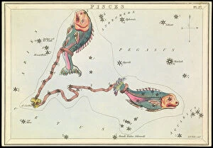 National Maritime Museum Collection: Pisces, c.1825 (card, paper, tissue )