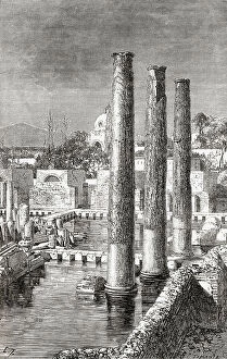 Columns Collection: Remains of the Macellum of Pozzuoli, southern Italy, rom The Universe or, The Infinitely Great