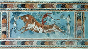 Palaces Collection: Scene of taurokathapsia, an acrobat leaping over the back of a charging bull