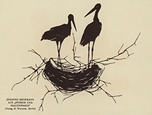 Stork Collection: Silhouette of a storks nest (litho)