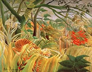 artists/henri jf 1844 1910 rousseau/tiger tropical storm surprised