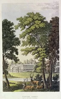 Stately Home Collection: Woburn Abbey, from Ackermanns Repository of Arts, 1828 (colour litho)