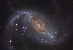 Supermassive Black Holes Collection: Barred spiral galaxy NGC 1672 in the constellation Dorado