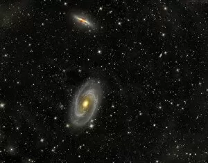 Starfield Collection: Cigar Galaxy and Bodes Galaxy in the constellation Ursa Major