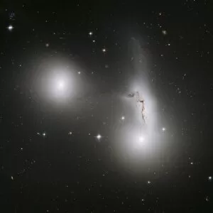 Elliptical Galaxy Collection: Cluster of Interacting Galaxies