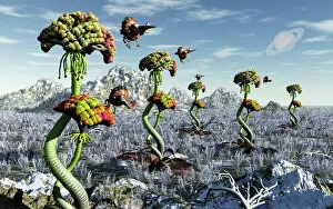 Surreal landscape artworks Framed Print Collection: A futuristic alien plant harvest